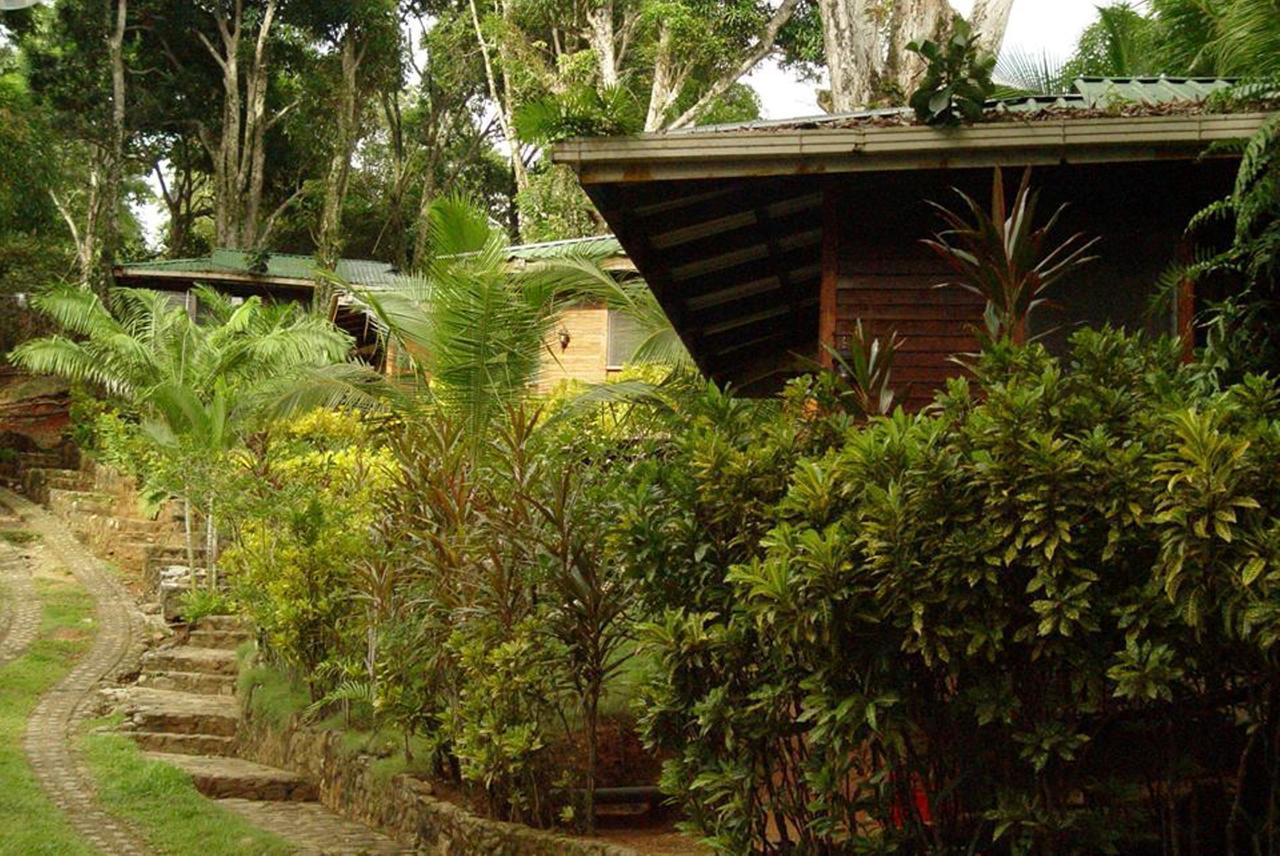 Cabinas La Parcela Dominical Exterior photo